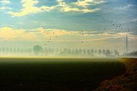 Calatrava Brug in the morning mist with landscape