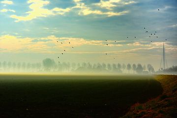 Calatravabrug met mist in de ochtendzon van Ernst van Voorst