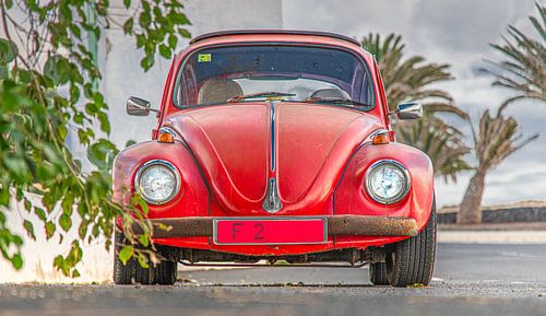 An old red beetle along the road under palm trees in Soo, Lanzarote.