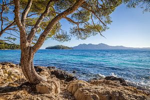 Strand Platja de Formentor, Mallorca