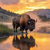Bison Standing Near a Lake at Sunset in Scenic Landscape by Beeld Creaties Ed Steenhoek | Photography and Artificial Images