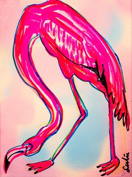 Flamingo-Vogel