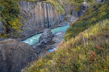 Basalt columns coloured orange by iron oxide, Studlagil Canyon, Egilsstadir, Austurland, Iceland