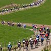 Radsportler nehmen an der Tour-Version des Amstel Gold Race teil von Frans Lemmens