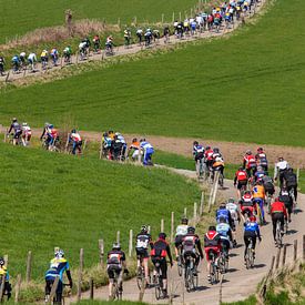Radsportler nehmen an der Tour-Version des Amstel Gold Race teil von Frans Lemmens