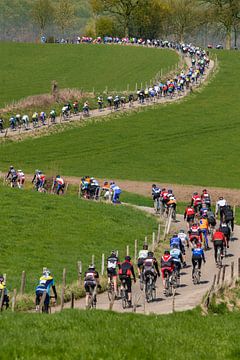 Radsportler nehmen an der Tour-Version des Amstel Gold Race teil