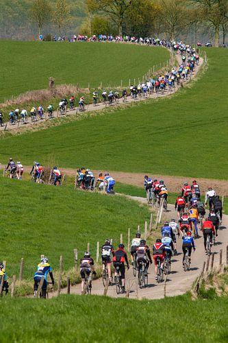 Cyclists take part in the tour version of the Amstel Gold Race