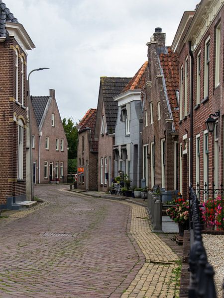 Kronkelend door het buitenkwartier van Brenda bonte