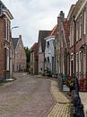 Kronkelend door het buitenkwartier van Brenda bonte thumbnail