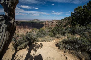 Grand Canyon South Rim van De wereld door de ogen van Hictures