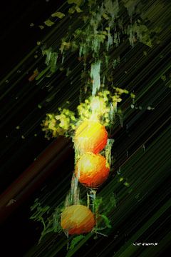Orange van IMAGE  METAPHOR