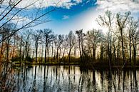 Landschap, fotografie van Art Pictures by  Lotte thumbnail