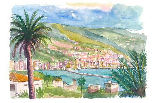 Santa Cruz de la Palma Vue sur la côte avec palmiers et collines