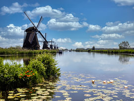 Mühlen in Kinderdijk von Ina Bloemendal