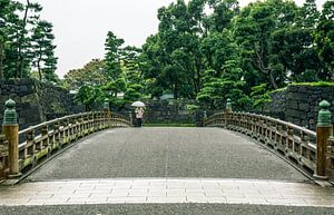 Wandelaar met paraplu tijdens een bui in Tokyo van Mickéle Godderis