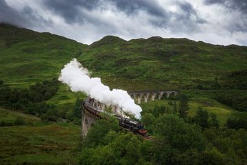 Hogwarts Express / Jacobite Steam Train (Highlands, Écosse) sur Niko Kersting