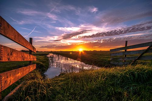 Mijzepolder Gras und Zaun