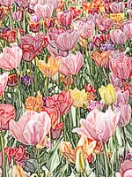 Tulpenkunst