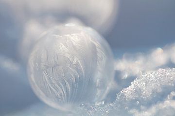 Bevroren Bellenblaas Bubbel bel van Wendy de Waal