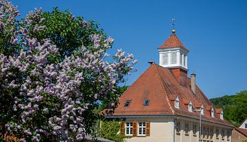 Ancienne école avec un buisson de lilas sur Jens Hertel