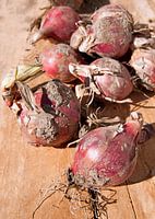 légumes0144