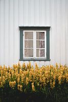 Idyllisches Fenster einer alten Hütte in Norwegen, Lofoten.