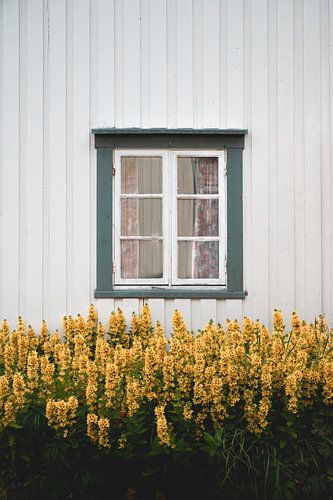 Idyllic window of old cottage in Norway, Lofoten.
