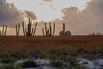 Klein Curacao Sunrise by Bfec.nl