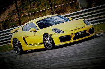 Dutch Porsche Drivers