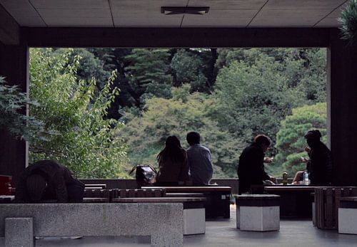 Japon - après-midi d'automne à Tokyo - parc Yoyogi sur Roger VDB