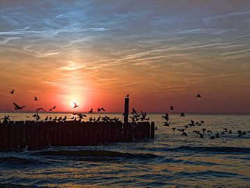 Here on the coast... sunset
