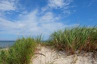 Beach by Ostsee Bilder thumbnail