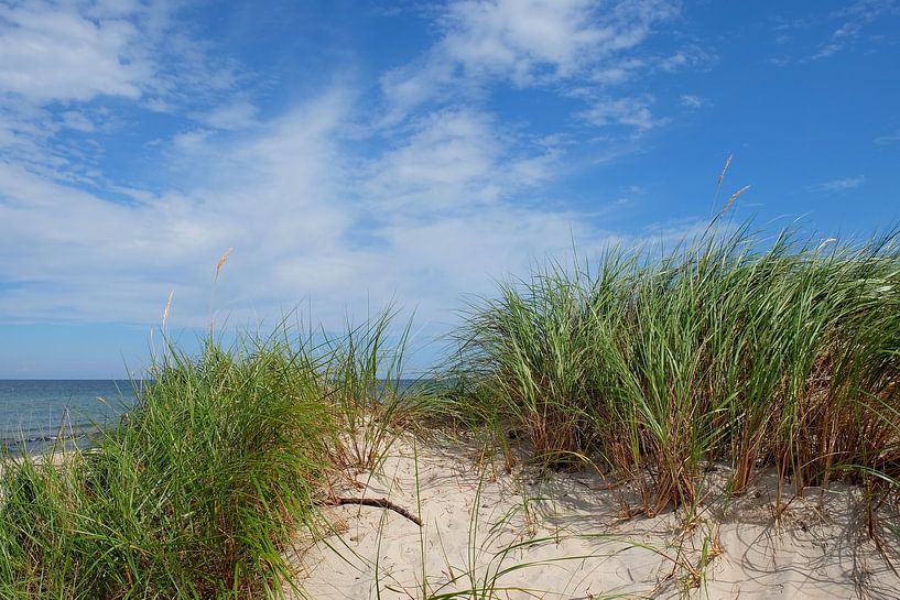 Beach by Ostsee Bilder