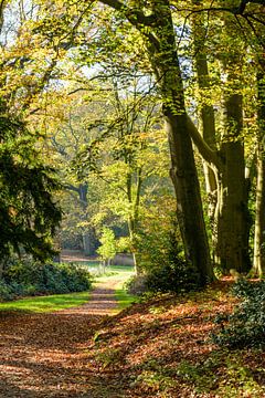 Verträumte Wege auf dem Landgut Rhederoord