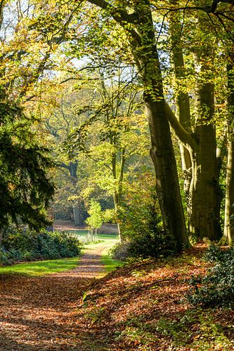 Dreamy paths on Rhederoord estate