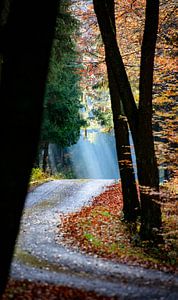 Das Licht am Ende des Weges