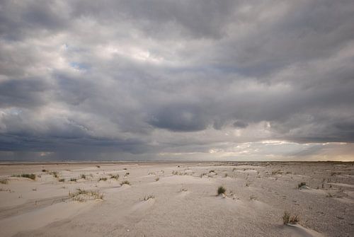 Strand Schiermonnikoog