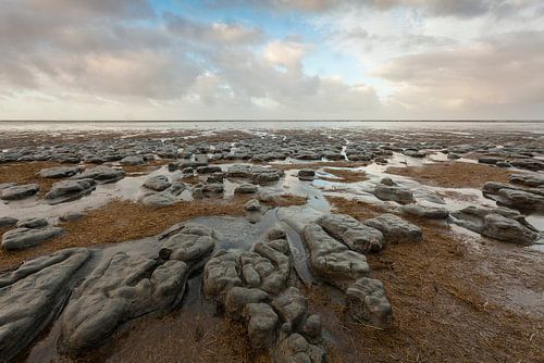 Waddenkust