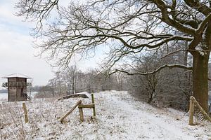 Romeinse wachttoren in winters landschap