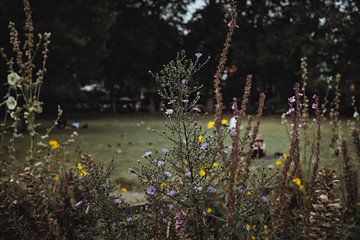 Botanische vibes in Engelse tuin | Reisfotografie | Engeland, U.K. van Sanne Dost