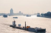Business on the river Maas in Rotterdam by Anouschka Hendriks thumbnail