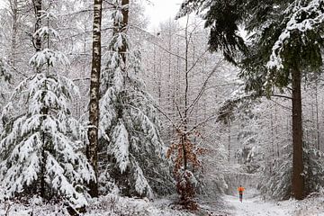 Winterlandschaft in den Niederlanden auf dem Utrechter Höhenrücken von Peter Haastrecht, van