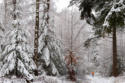Winterlandschaft in den Niederlanden auf dem Utrechter Höhenrücken