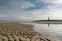 Texel