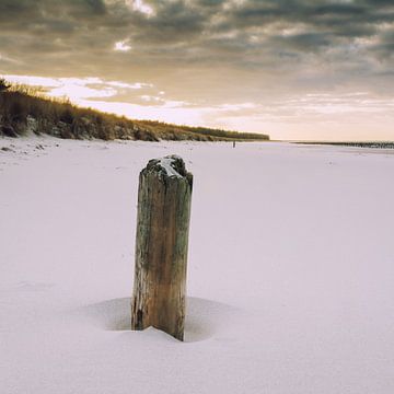 Holzpfosten am Ostseestrand