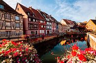 Colmar, Little Venice, Alsace France by Michael Bollen thumbnail