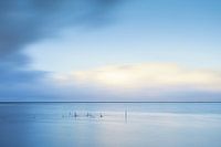 Fishing nets in the Lauwesmeer at Oostmahorn in light blue