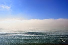 Bodensee im Nebel