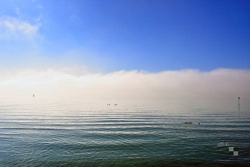 Le lac de Constance dans la brume