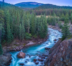 Astoria River. Jasper National Park, Kanada. von Dennis Werkman